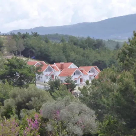 Pine Villa *